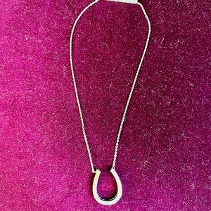 Rhinestone horseshoe necklace